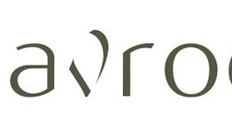 Davroe Hair Care