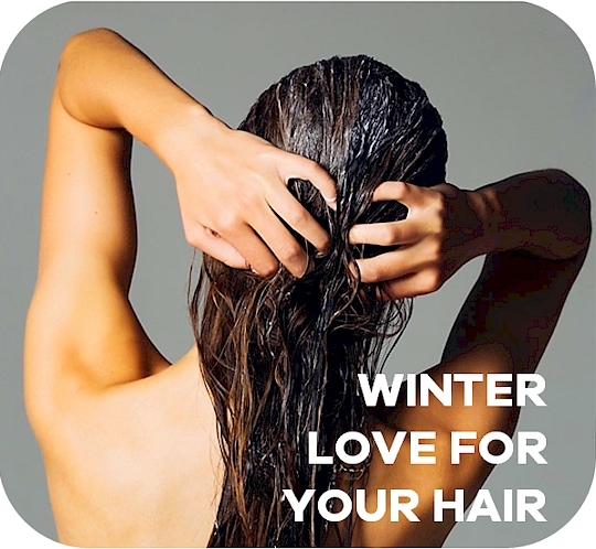 BlogFeat_WInter
